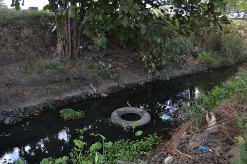 aguas-estancadas