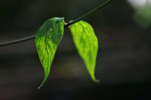 Tecnoambiente Ecuador
